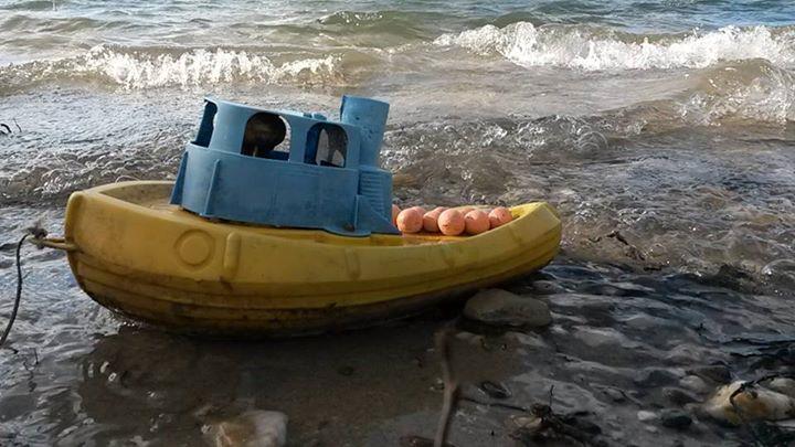 Diverse - img38618206825944.jpeg